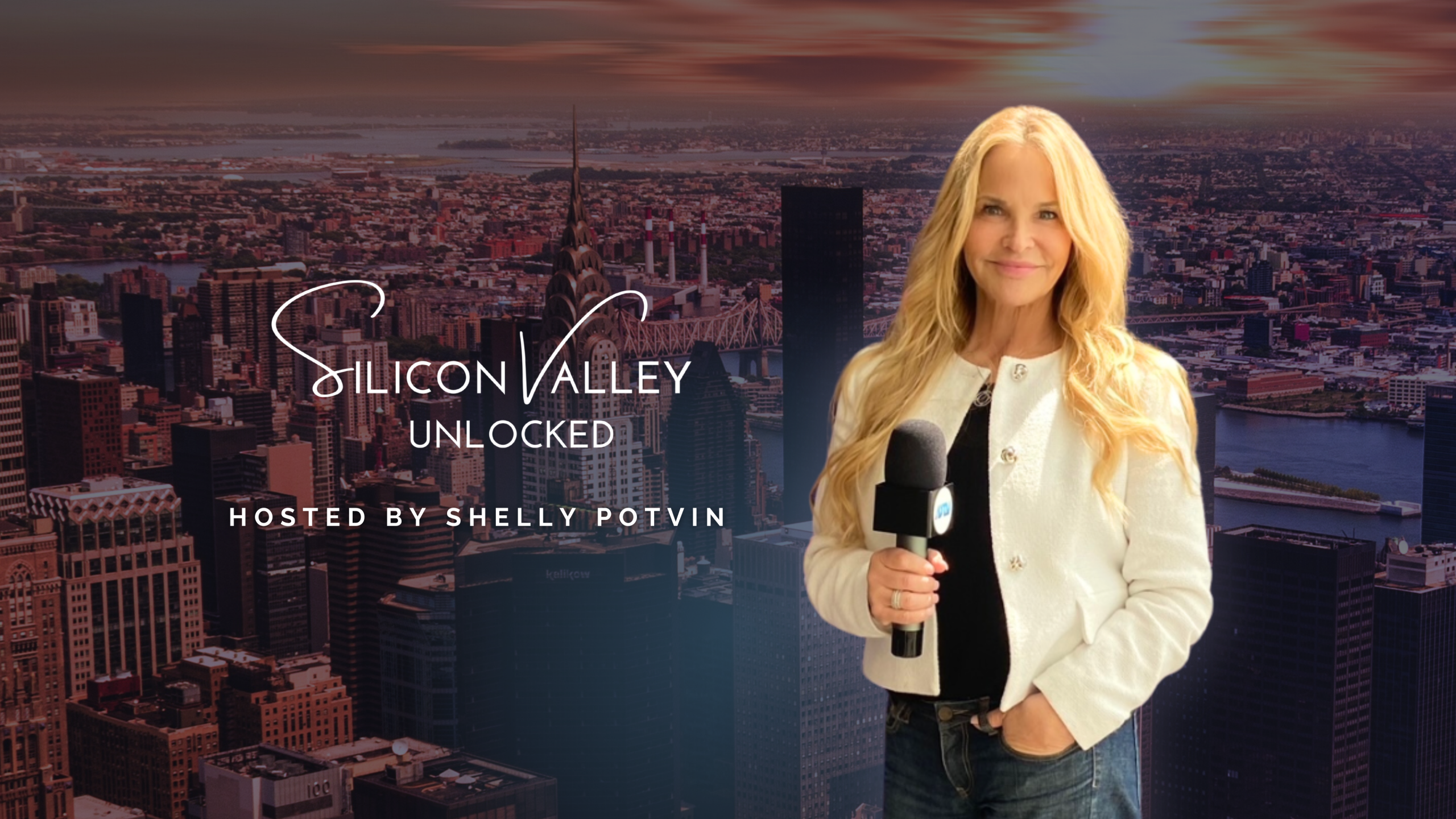 Silicon Valley Unlocked